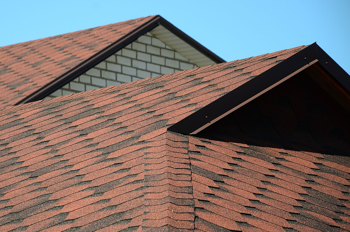 Blue Shingles: Unique Vibe