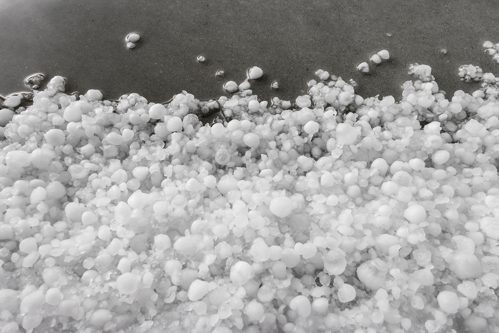 Roof Damaged by Hail